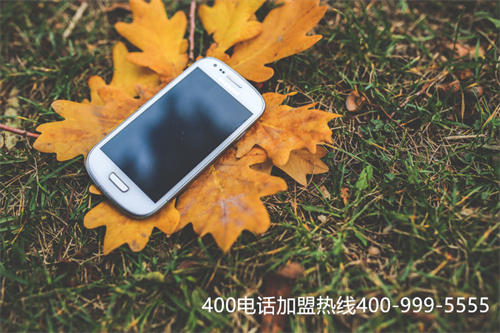 (申请400电话需要什么条件)(申请400电话不注意这些问题可不行)