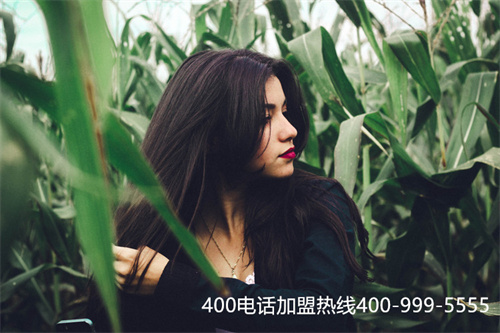 (400电话怎么申请现在还有优惠!)(400电话套餐怎么选择)