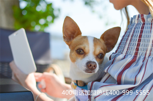 (400号码申请官网)(申请400号码流程)