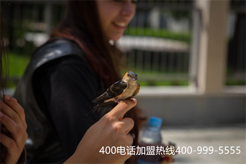 上海400电话如何申请（广州400电话）